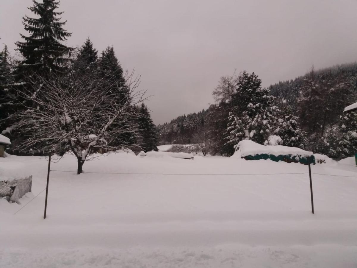 Appartamento Cologna Castelfondo Extérieur photo
